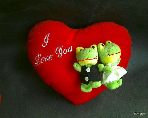 VALENTINE. I LOVE YOU CUSHION. 21 X 26cm. 2 FROGS.