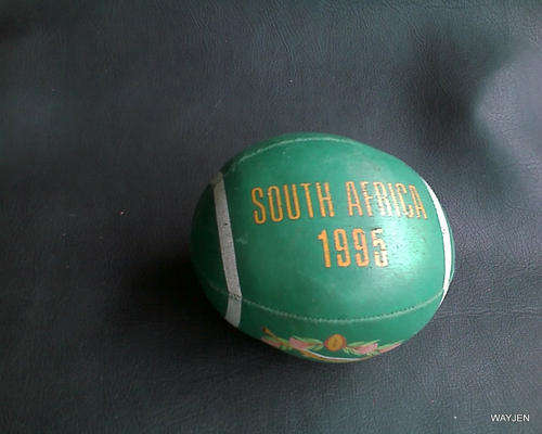 SMALL SOFT 1995 SOUTH AFRICA WORLD CUP/SPRINGBOKS RUGBY BALL. BALL HAS STUFFING INSIDE.