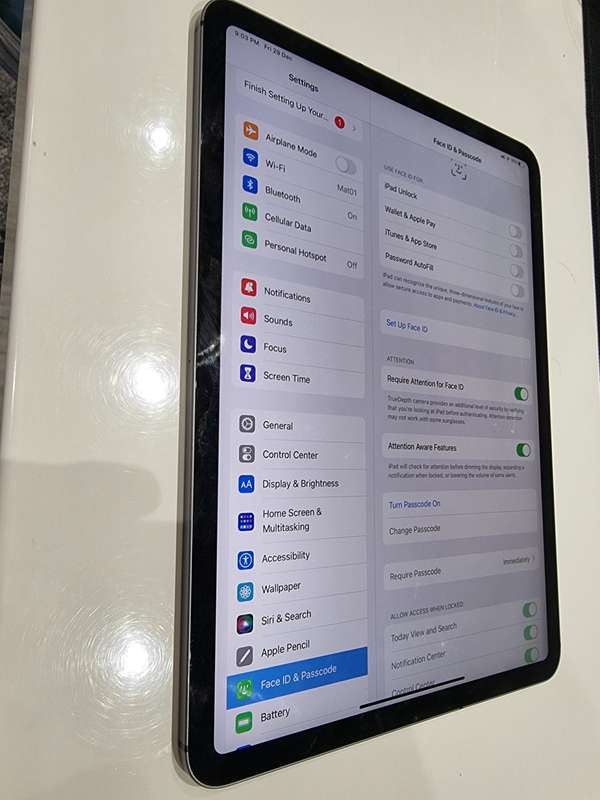 Apple iPad Pro 11 inch 64GB Wifi+cellular Grey 1st Gen