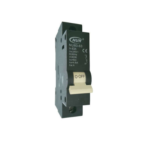 Raytric 63A Circuit Breaker