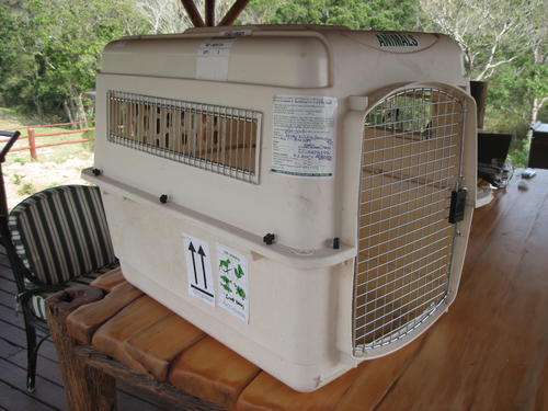 Dog Transport Box