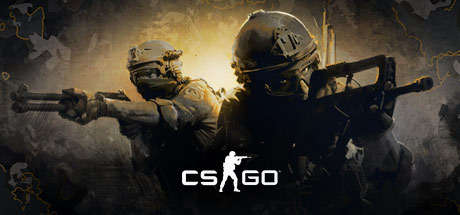 Counter Strike Global Offensive ( Steam )