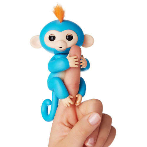 Fingerling Monkeys Boris