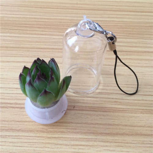 Pet Plant With Real Cactus/ Pet Tree
