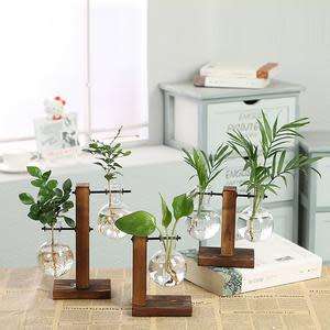 Hydroponic Vintage Vase - 2 Options