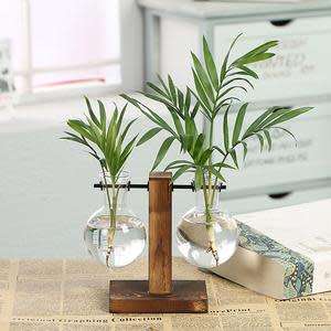 Hydroponic Vintage Vase - 2 Options