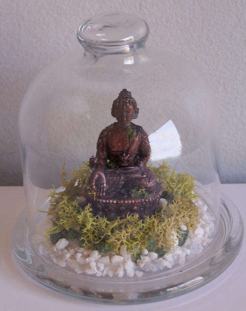 Buddha in Mini Terrarium