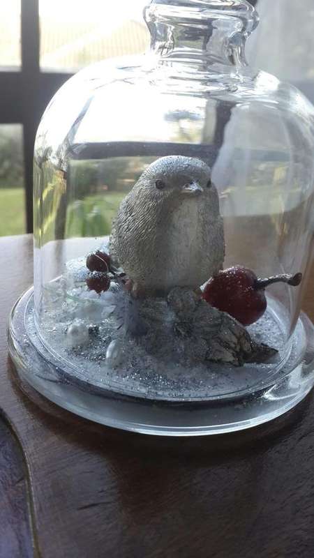 Decorative Bird in mini dome