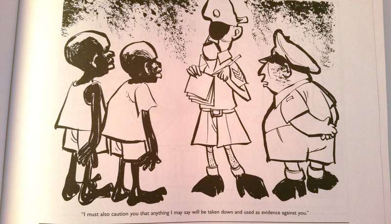 NELSON MANDELA - A LIFE IN CARTOONS (HARDCOVER)