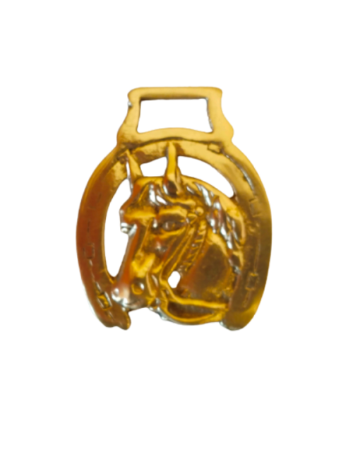 BRASS HORSE SHOE WITH STALLION