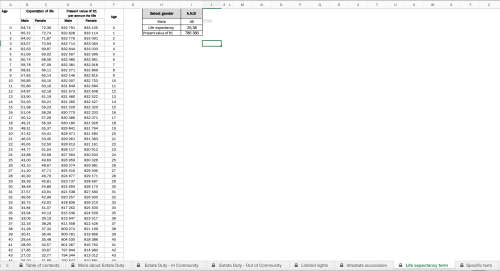 Estate Planning template for South Africans