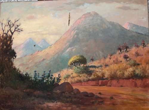 VERY OLD WILLEM HERMANUS COETZER OIL ON CANVAS