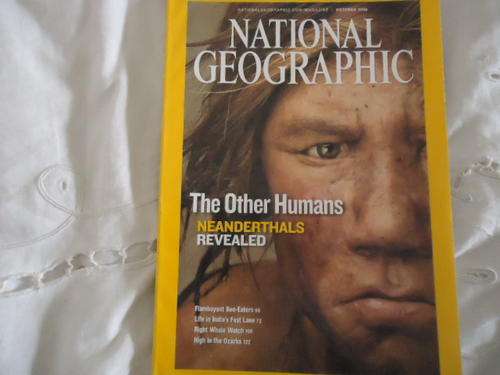 NATIONAL GEOGRAPHIC -OCTOBER 2008 VOL 214 NO.4 IN EXCELLENT CONDITION