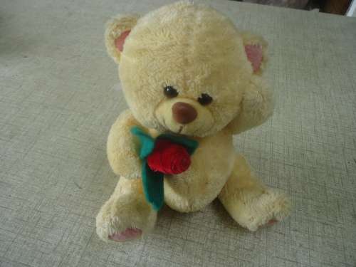CUTE TEDDY  BEAR WITH RED ROSE