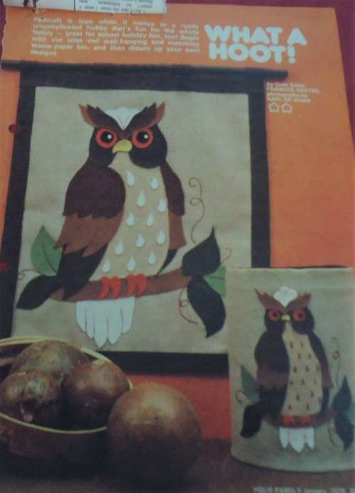 WHAT A HOOT - WALL HANGING & WASTE BIN - YOUR FAMILY JANUARY 1979