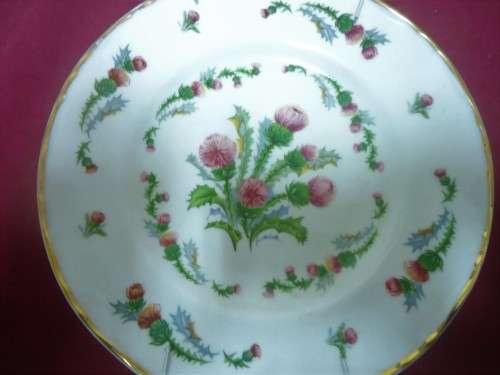 ENGLISH BONE CHINA WALL PLATE OF PRETTY PICTURED THISTLES and GILT WITH WALL HANGER