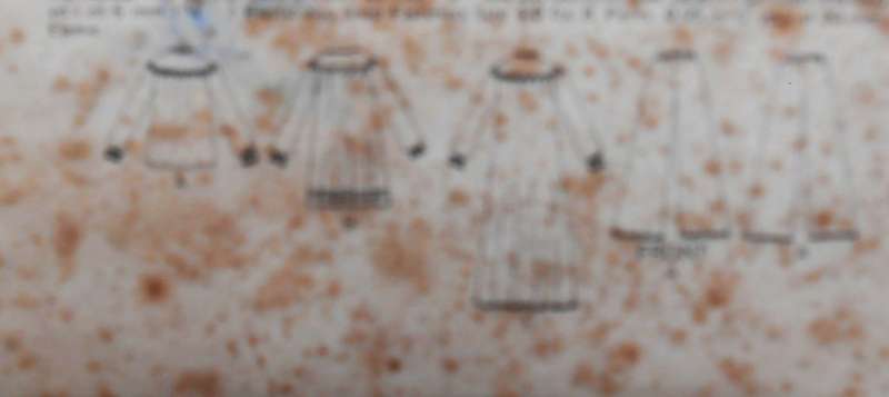 VINTAGE BUTTERICK 3960 PJS & NIGHTGOWN SIZE 14-16 MEDIUM COMPLETE -ZIPLOC BAG