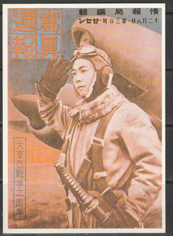 COLOUR POST CARD A JAPANESE PILOT MINT LOOK SCAN