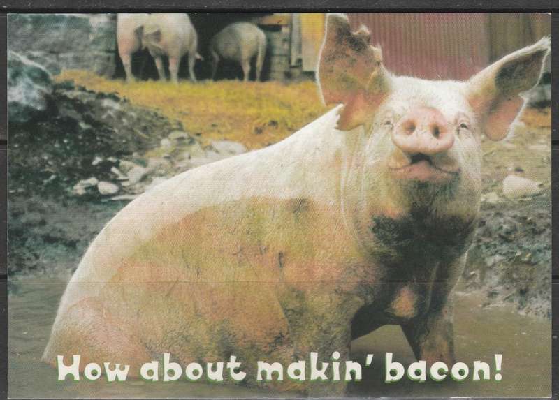 COLOUR POST CARD HOW ABOUT MAKING BACON LOOK SCAN