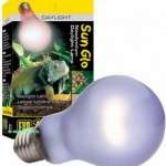 Reptile Basking Lamp 60 Watt