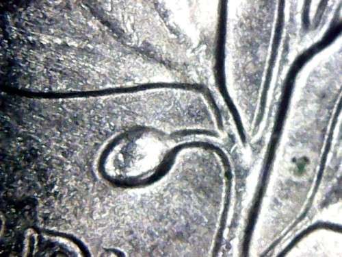 2001D rooseveld dime double die error coin see description for photos