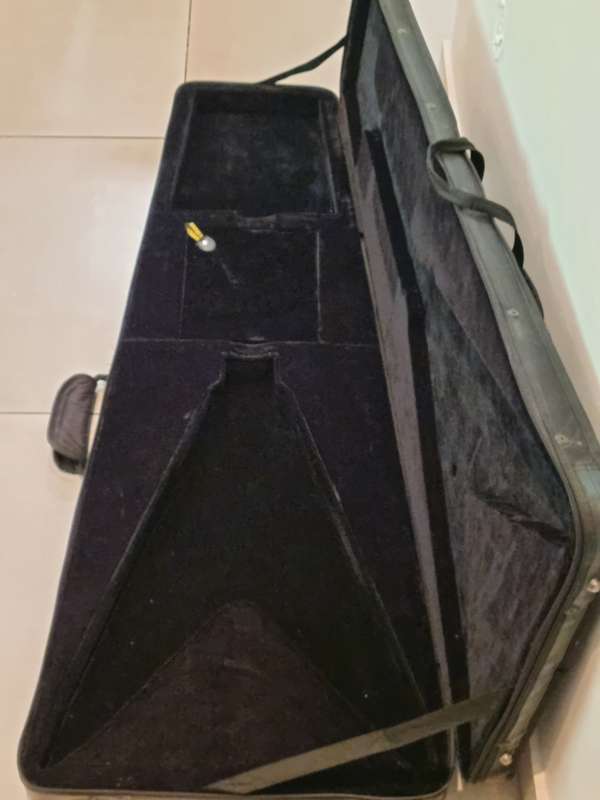 Epiphone Goth `58 Flying V Electric Guitar