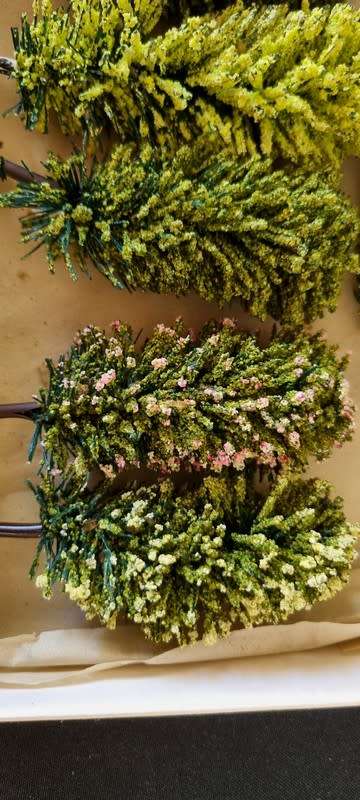 HO trees