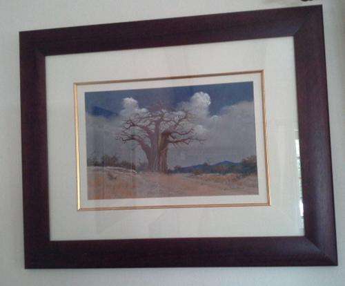 David Johnson Boabab tree, Size 700mm high x 900 wide.  Framed behind glass