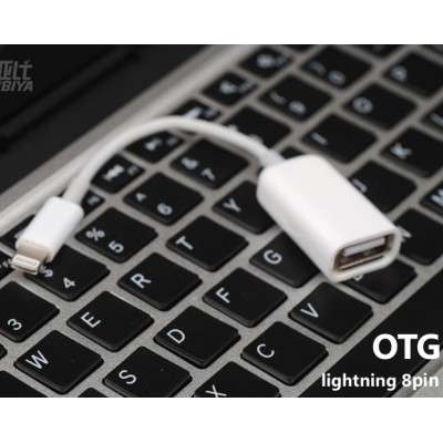 ipad-ipad mini OTG connect kit