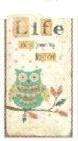 Owl Fridge Magnet (Metal)