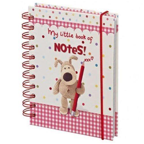 Boofle Book of Notes
