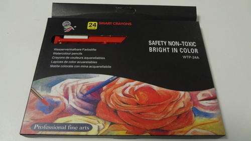 24 Watercolour Smart Artist Crayons