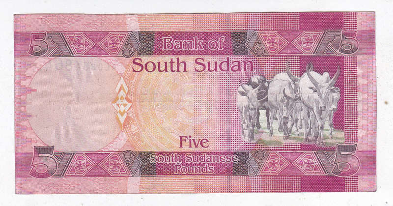 SOUTH SUDAN 5 POUNDS CATTLE