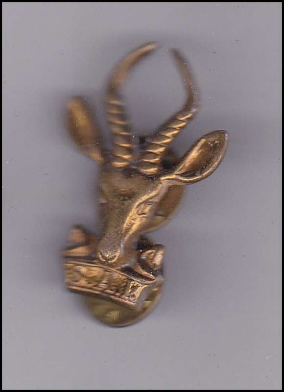 INFANTRY BERET BADGE S.A.I BRASS 3CM