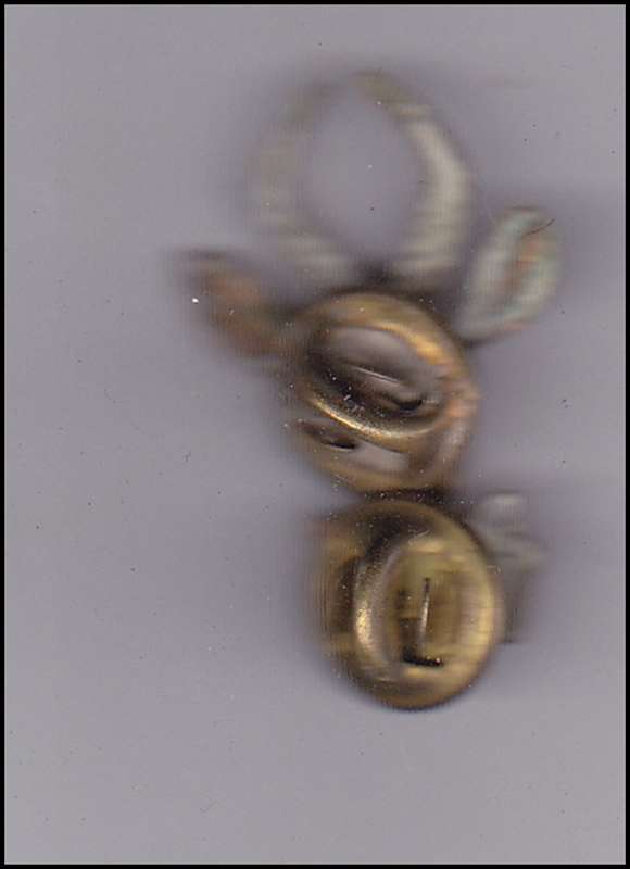 INFANTRY BERET BADGE S.A.I BRASS 3CM