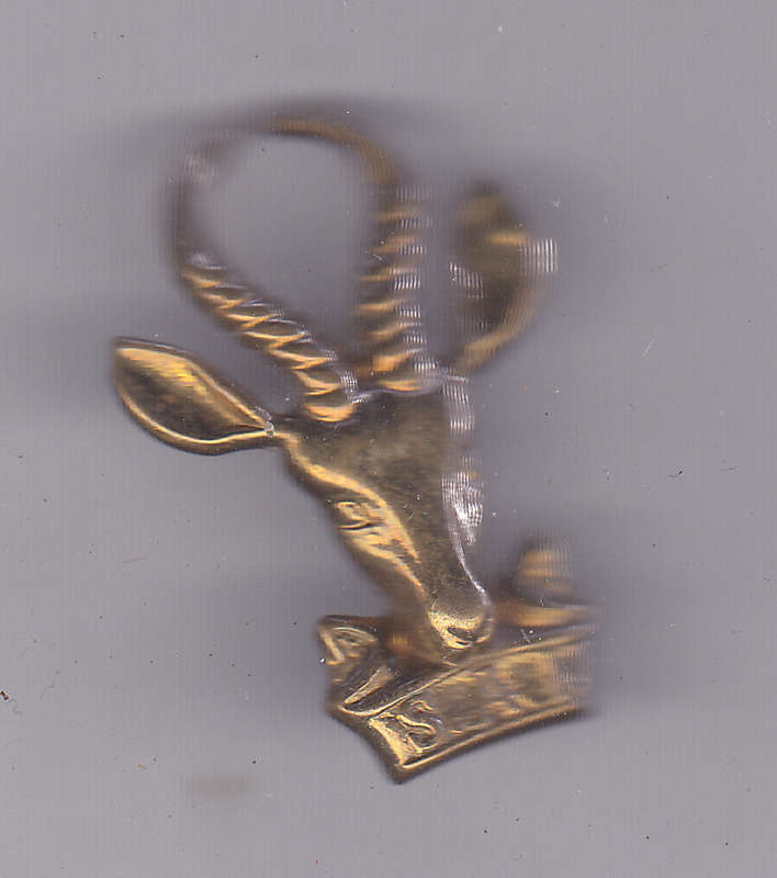 SOUTH AFRICA INFANTRY CAP BADGE BOKKIE