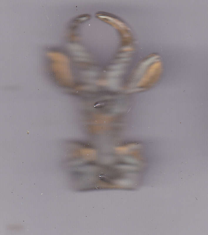SOUTH AFRICA INFANTRY CAP BADGE BOKKIE