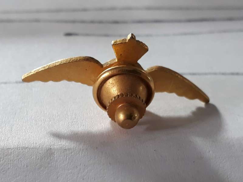 PRIVATE PILOTS LICENSE BADGE