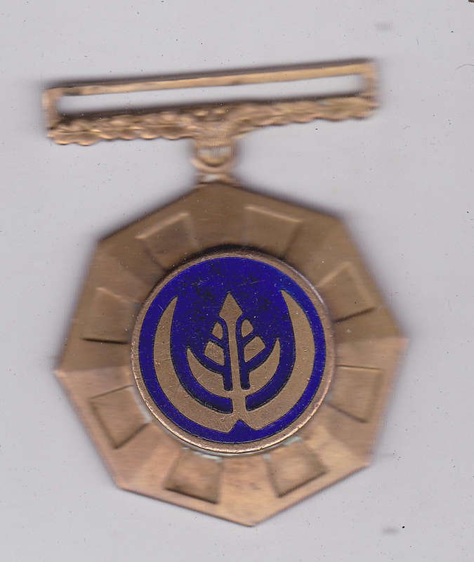 PRO PATRIA FIXED SUSPENDER MEDAL # 142158