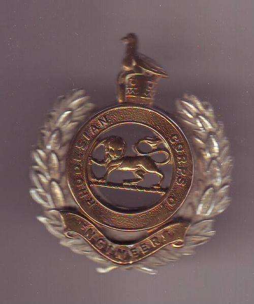 RHODESIAN ENGINEERING CORPS BI METAL CAP BADGE