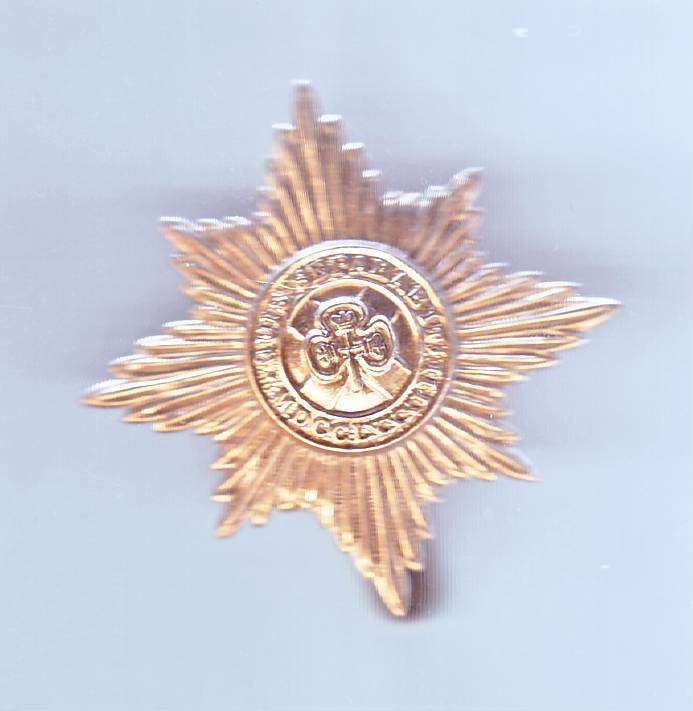 IRISH GUARD BADGE