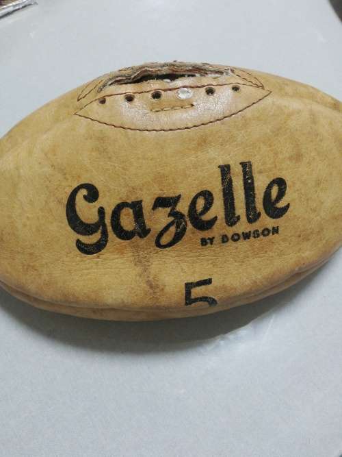 Gazelle Leather Rugby ball signed by Springboks and South America