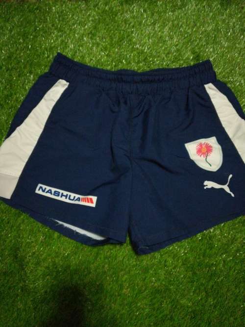 Bulls Currie Cup Match shorts Size L