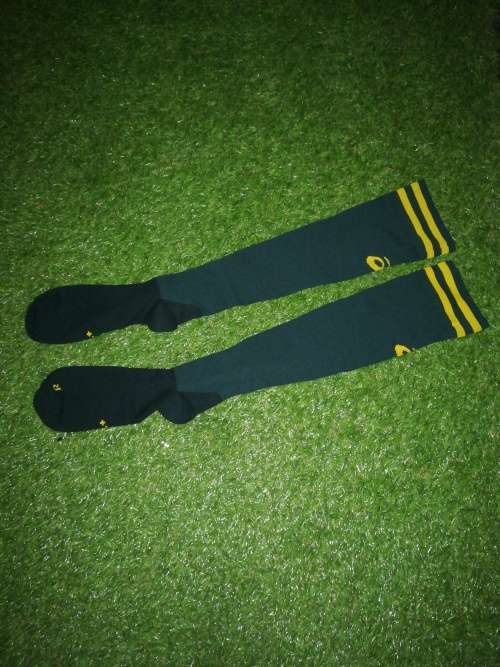 Springbok Test match socks