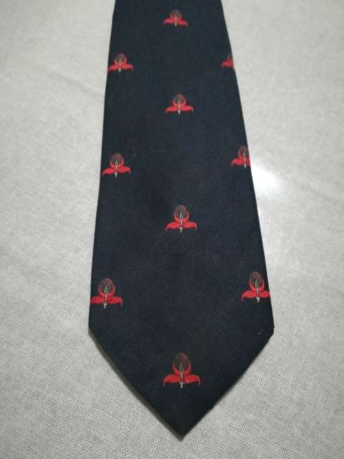 Rugby tie WP