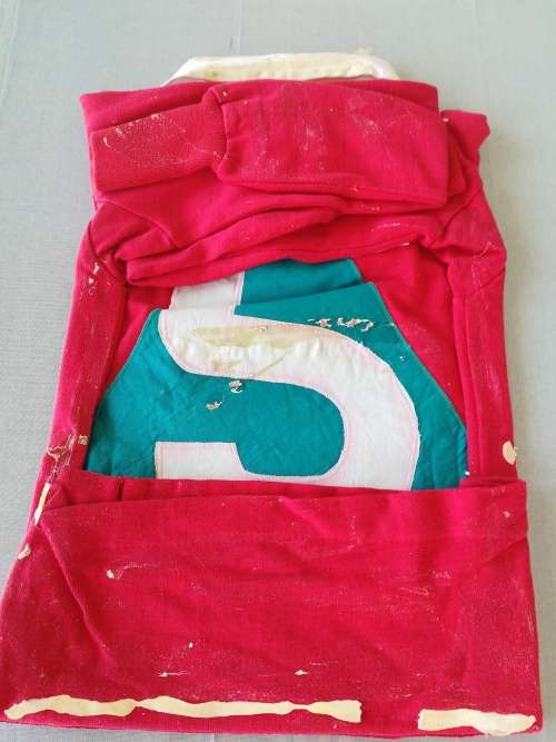 Pacific Coast Grizzlies rugby jersey no 5,can be reframed.