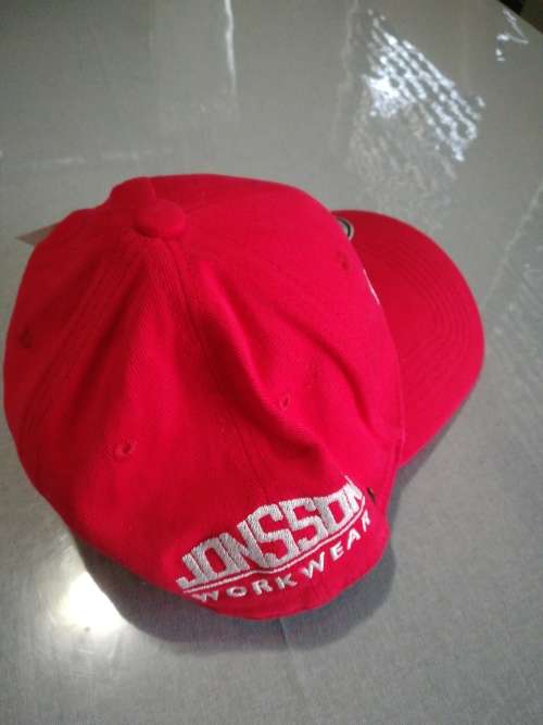 Lions Players Cap