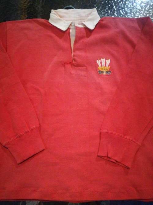Wales Match Jersey number came off