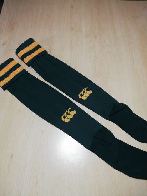 Springbok Players Match socks