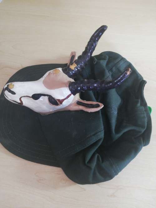 Vintage Springbok Supporters Cap with Springbok head